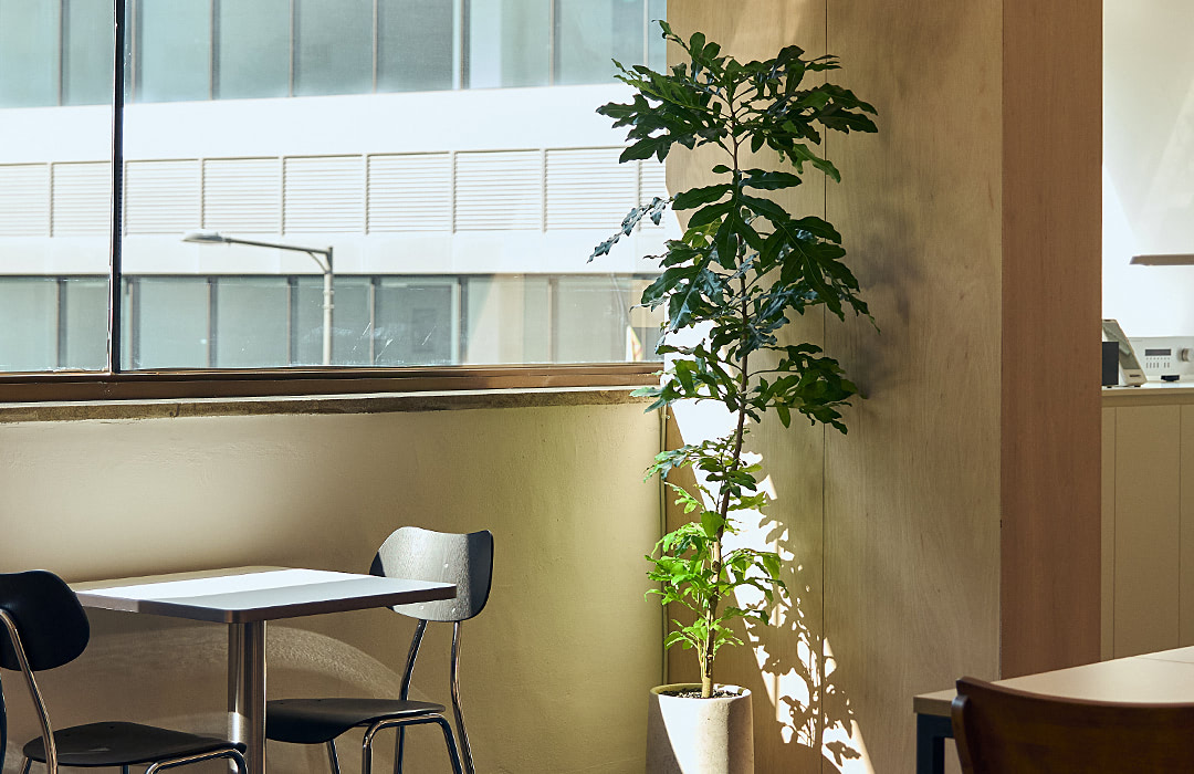 생화로 구현한 공기정화 시스템