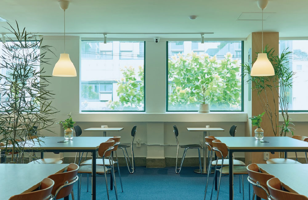 관리받는 프랜차이즈, 선택해야하는 이유